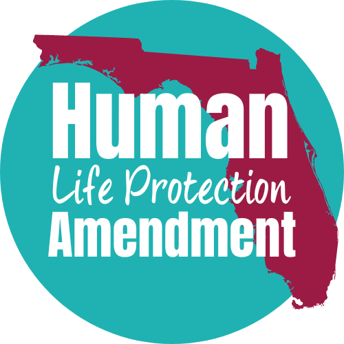 What is the Human Life Protection Amendment?